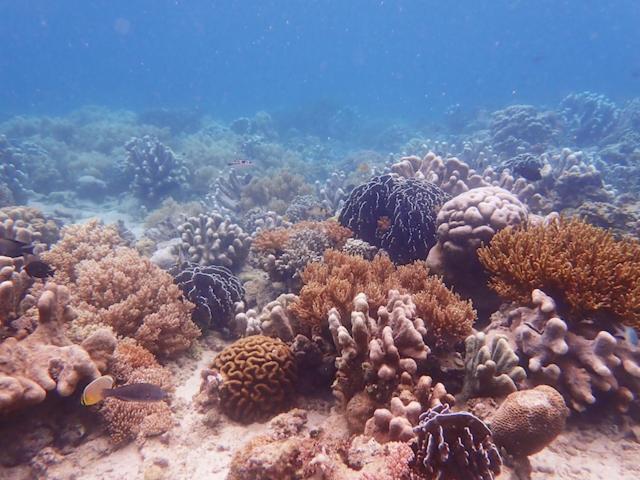 Likupang Nomad Divers Bangka מראה חיצוני תמונה